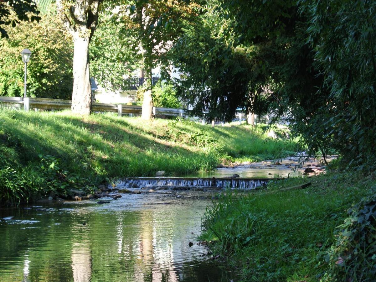 Landhaus Edelmann Mullheim  Zewnętrze zdjęcie